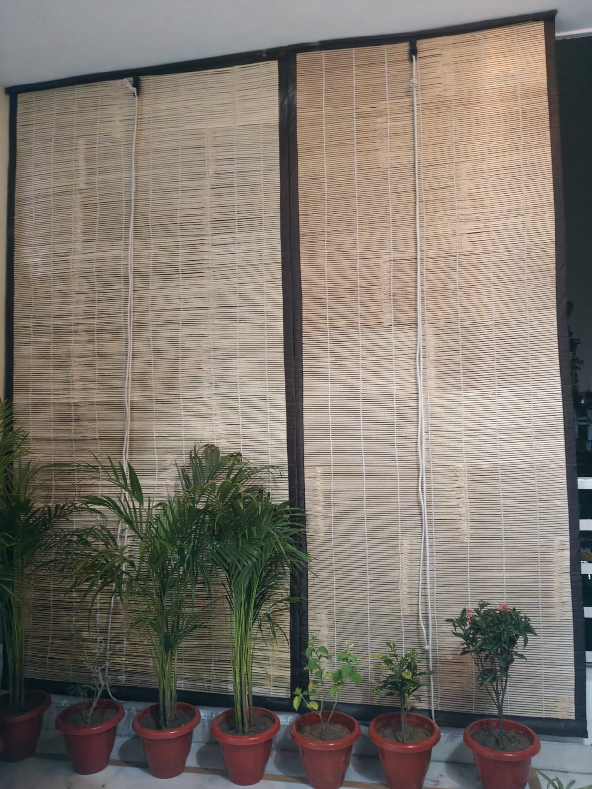 Balcony bamboo chick installation